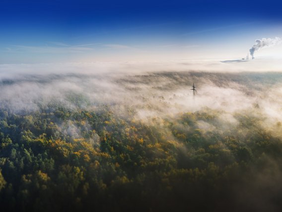 Baumwipfel mit Himmel, Fabrik und Nebel